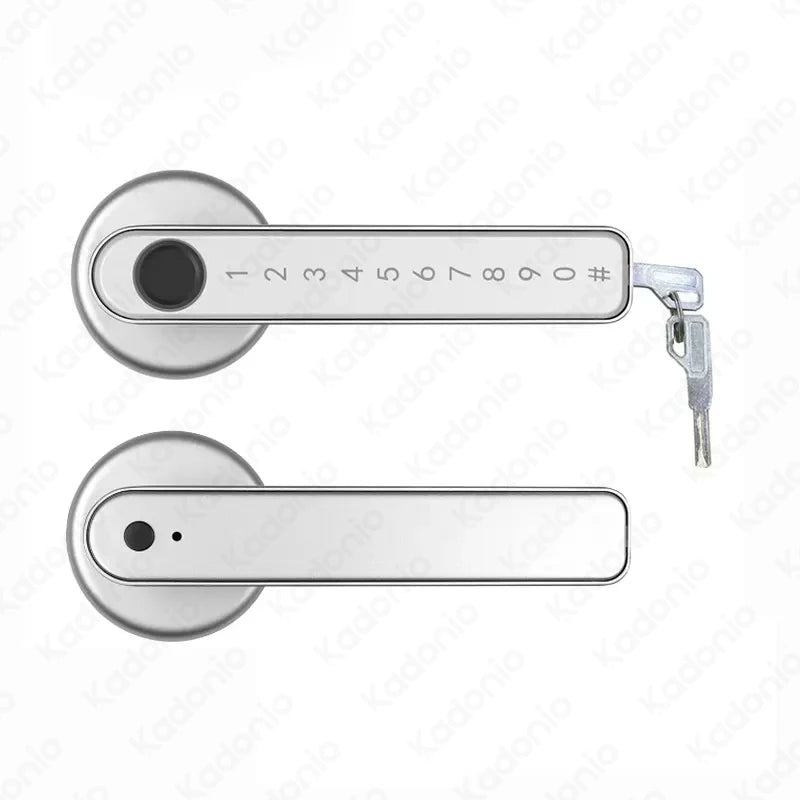 Tuya Fingerprint Main Door Lock Handle Latch With Code